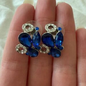 Elegant Blue and Silver Earrings